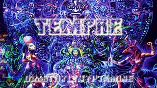 Tempre - Dimethyltryptamine (Psychedelic Metal)