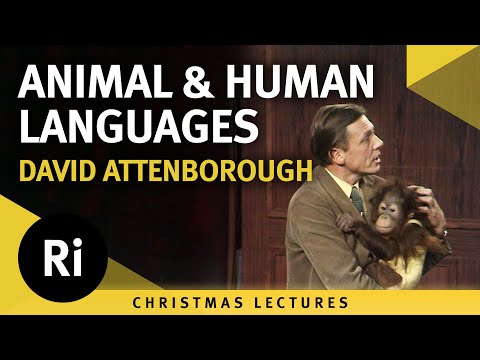Animal and human languages - David Attenborough's 1973 Christmas Lectures 5/5