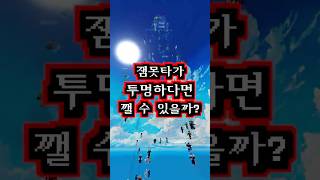 만약 잼못타가 투명하다면 올라갈 수 있을까?