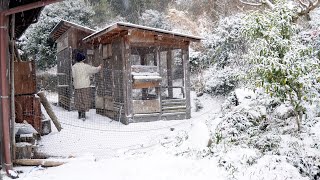自給暮らしvlog｜母娘と田舎に暮らす｜冬の和風ポトフと蕪蒸し｜#55