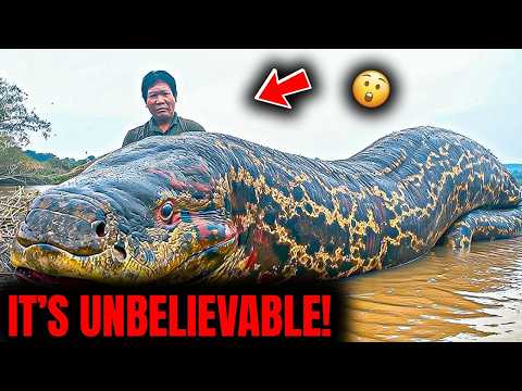 15 Massive River Monsters That Will Leave You in Awe
