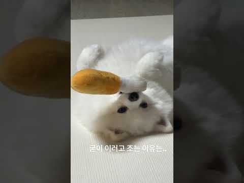 바보..