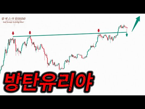 비트코인 암호화폐 불장 스타트