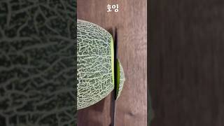 황제들만 먹는 멜론, 하미과 멜론(melon)