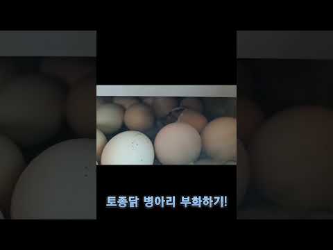 2023년 10월 14일