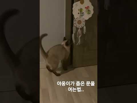만복이가 좁은 문을 여는법