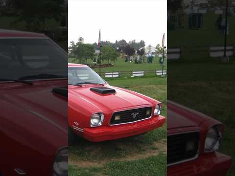 Right car right time #carshorts #carstories #ford #mustang #cars #1970s #automobile #uglyduckling