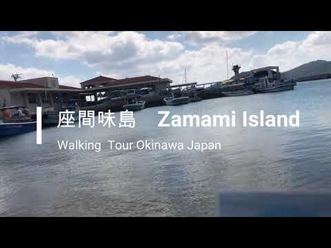 Walking tour  Zamami Island Okinawa Japan　【沖縄県　慶良間諸島　座間味島】座間味港から古座間味ビーチまで歩く