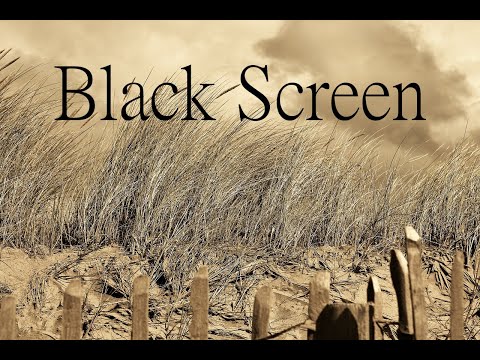 Heulender Wind, Blätterrascheln, 2 Stunden, Black Screen