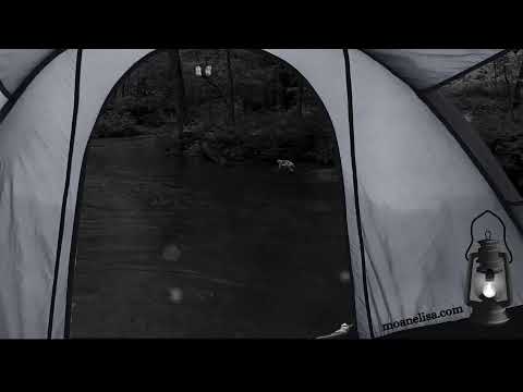 Deep Creative Flow State | Rain, Fire, Wind, & Earth Deep Immersed Vibes