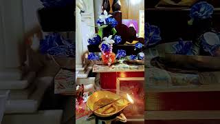Triniding release #shortvideos #plzsubscribemychannel