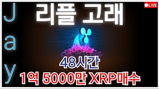 리플전망 [대응전략] 고래들 48시간 1억 5000만 XRP매수.