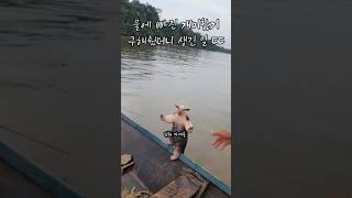 물에 빠진 개미핥기 구해줬더니