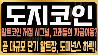 [도지 코인전망] 고래들의 자금흐름이 수상하다! 다시 한번 단기 알트장이 올 가능성이 높은 이유, 비트코인 도미넌스가 하락중?  #코인사부 #코사부 #DOGE
