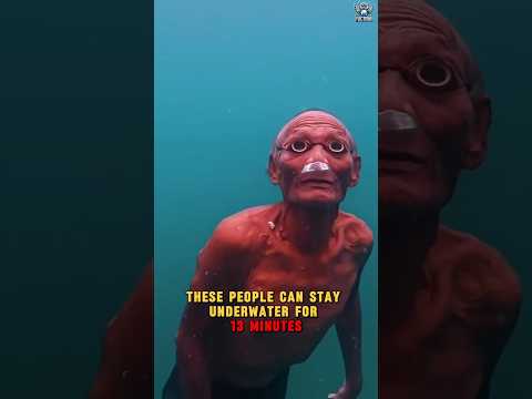 This Tribe Can Stay Underwater for 13 Minutes! 🌊😱 #shorts #bajau