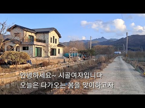 시골일상 장미울타리 설치 및 넝쿨장미 튤립 심기 뜨개질 가디건 만들기 #시골여자 #시골일상 #시골브이로그