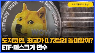 도지코인, 최고가 0.73달러 돌파할까?…ETF·머스크가 변수