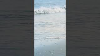 Sleep With Ocean Waves Sounds For Deep Sleeping & Stress Relief 🌊 #shorts #youtubeshorts #ytshorts