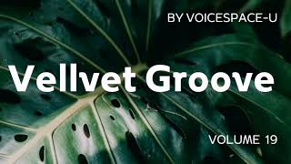 Vellvet Groove: Chill Vibes Only