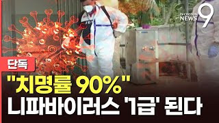 [단독] "치사율 최대 90%" 니파바이러스 1급 감염병 된다…"차기 팬데믹 유력 후보" [뉴스9]