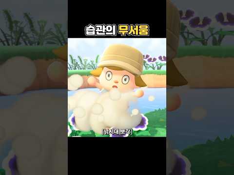 강종 많이 하면 이렇게 됩니다 ㅠ