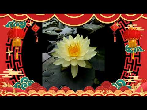 荃灣竹林禪院2021大年初一