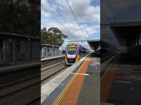 Trains At Diggers Rest