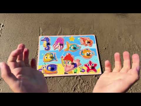 Are You Ready to Discover the BEST Sea Creatures?