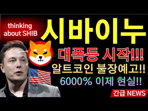 [시바이누][시바이누코인]마지막 탑승열차!! 대서막의 시작!! 금리인하 최고수혜!! 알트코인 불장 예고!! 전고점 트라이 이제 현실!! #시바이누전망#코인전망