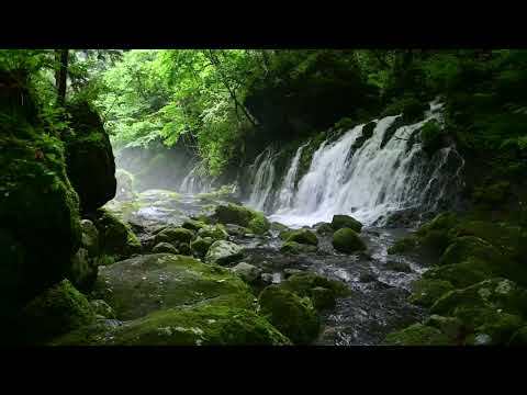Amazing Nature Sounds, Fantastic Water Flow and Birds Singing
