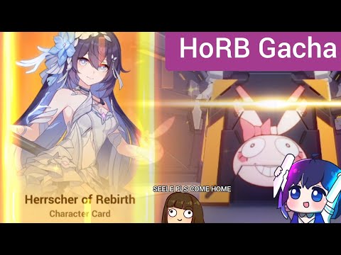 The Casual, The #1 Seele Simp and the Tryhard pull for Herrscher of Rebirth!