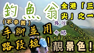 ［行山路徑介紹系列EP37]登上西貢三尖和全港三尖之一的釣魚翁！不辛苦地登上小尖山！四星級景觀、360度景色！（路徑介紹）（全面分析）（內容精彩及豐富）（看足10分鐘）（不要中途錯過彈出）（高質素）！