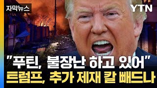 [자막뉴스] 푸틴, 평화 약속 뒤 공습...트럼프 '분노' 폭발 / YTN