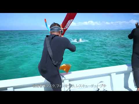 溺者発見時の基本行動