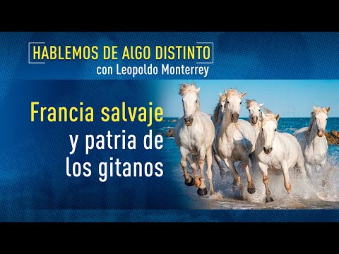 Hablemos de algo distinto: La Francia Salvaje