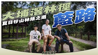 夏日行山林蔭之選『大埔滘林徑🔵藍路』一星輕鬆路線｜[4K] Hiking Vlog＃140 Tai Po Kau Forest Walks BLUE WALK