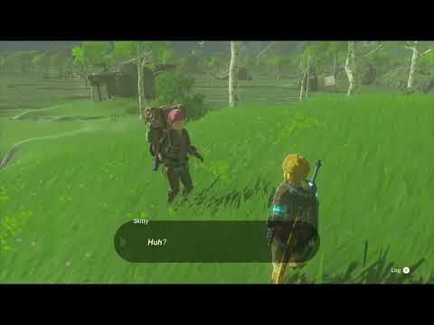 i found a new NPC in tears of the kingdom??