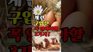 신선한 계란 고르는 꿀팁! 구입전 꼭 체크하세요 #계란# 난각번호#신선한계란구입방법