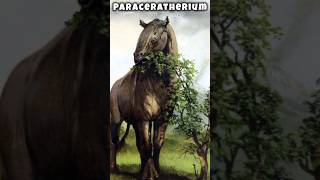 Extinct Animals That Are Bigger Than You Think 🤔 #shorts #extinctspecies #animalsvideo