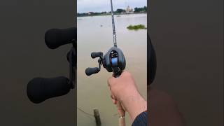 Exsence DC ตกปลาวัด ลวงพี่จะหวงไหม ถ้าตีถึง 555 #shots #fishing #shortvideo