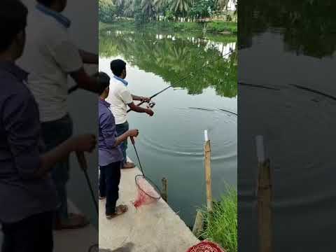 Landing Katal #fishing