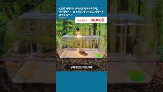 KC인증 빅사이즈 크리스탈 병아리육추기 / 메추리육추기 . 병아리집 . 메추리집 .오리육추기 .앵무새 육추기