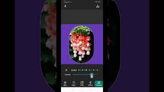how to WhatsApp full Dp set #new #whatsuptricks #shortsvideo #shorts