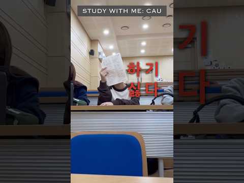 중간고사 공부? 무슨 소리 하는 거야, 오늘 유튜브 안할거야?