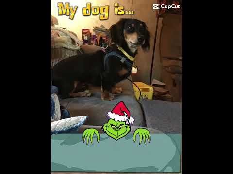 Your a mean one, MR.ZEUS!