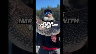 THICC BEARD/THICC FISH!!! #pike #fishing #record