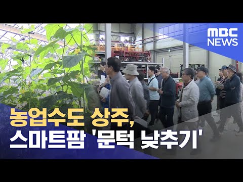 농업수도 상주, 스마트팜 '문턱 낮추기' (2025.05.19/뉴스데스크/안동MBC)