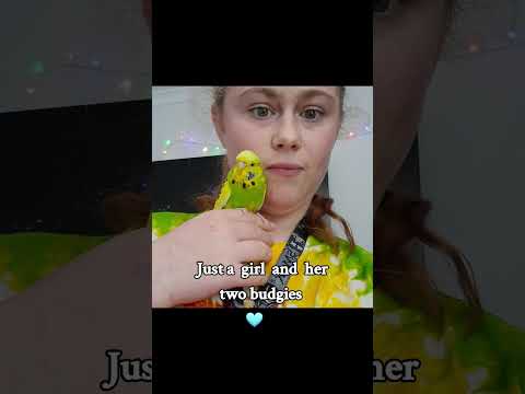 Just a girl and her budgies