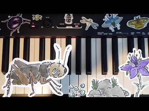 cricket - piano version !!