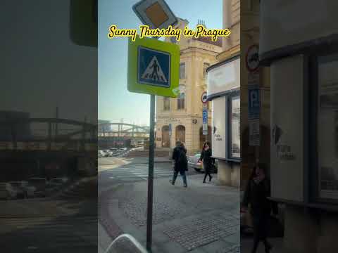 Sunny Thursday in Prague | March 6, 2025 #praguestreets #czechrepublic